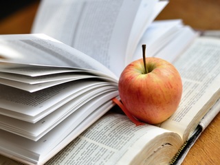 55e9d7404b5bac14ea898175ce29357d083edbe05a56734c732878