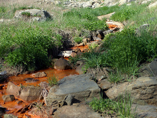 4534740865 324f19b75f o