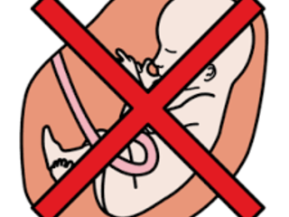 Abortion icon