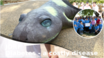 C96d3c71 6f4d 4386 90b0 45524c95877d