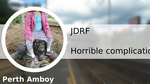 Dbc4db5f 6aa4 4ca2 9e7e 491f8abc7097