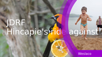 A00b0261 d949 4796 811d ffb803802c2c