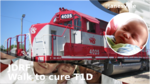 7595218d 1d7c 4643 b7e9 05aa138e3742