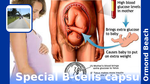 5cbca7fe d730 4f3b b942 1267a7e8f6a3