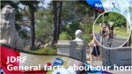 7b274649 928f 4c7d 9074 b4a58ca7ce6c