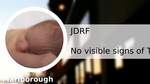 0ee79467 cf7d 456e 921a 51c68d509004