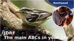 25370ba6 c0b6 47ba b1c3 b7f60e824e73