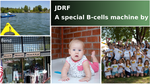 25db5d61 e4f7 40e2 afac ada091ddf297