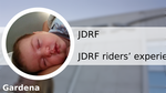 D4496f8e 19dc 433f 8f57 f2a34463be36