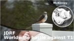 A399a512 f2e8 433b 9b6f 76fb7baeffef