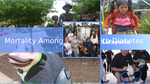 111e594f 97ac 47ec a91a cbfa6ed7c9e9