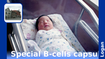Ea16bb04 0553 456d aa99 6288581b7afb