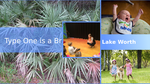 3667b49b 431c 4ff2 b5c8 b97df6b504ba