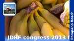 Bf6338f2 ba36 4104 b6cb 4e0834978b51