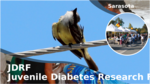 C112dc3e cc2d 414a bb0c 165e7c24d186