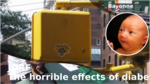 93eb2bfb 7282 4e64 9d7b 86d1ac04a108