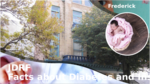 7aa224ae d2e4 442d 947f 88ba02cacdab