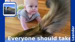 B211af67 c3e6 4a3c b0ef 1d2d7a01f08f