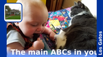 A9468cb9 de2c 4806 9b88 56d6c7fbc594