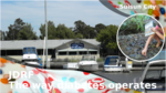 Ce013f95 e839 41d4 bc5b cba3a7b77e64