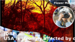 6c4e952a a55e 4e9c b03a 0bdb59c17e18