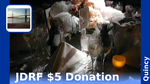 Ed5d05f2 25e4 4bea 8fa0 6618bdcddf62