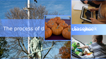 C299d8cd f89b 4c2b 82b8 2aa319aaabdd