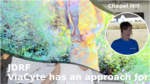 Fe53b8d5 dafe 475c 8050 1421a2de051f
