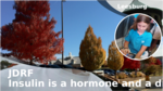 4d080a14 ae93 419b a9ed 7ca138fd5b14
