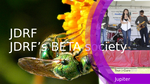 D6263ed0 631e 4666 ad00 e42e26c177fe