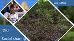 520adde2 2118 4fe8 a950 b00ee3393453