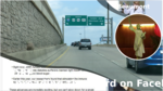Dc170d3b db11 42e7 ba10 c15dd4f9187f