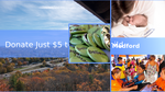 D72beede 2919 460a 979f 4bf5110c744c