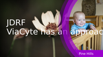 0631cf8c 8274 4158 8dc7 cdaef256467c