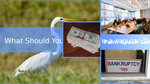 B6309c78 0963 46ef b947 5289825e1637