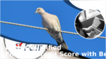 33b4d050 2978 4ad9 9fb5 0b02e9b46505