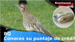 6c552308 694a 4135 b218 a1642d2e60de