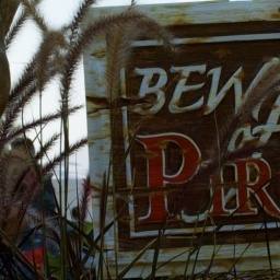 Images 3076x501 31