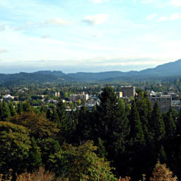 Images 550x550 2