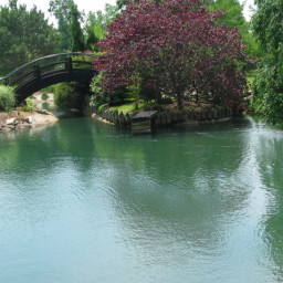 Images 960x545 2