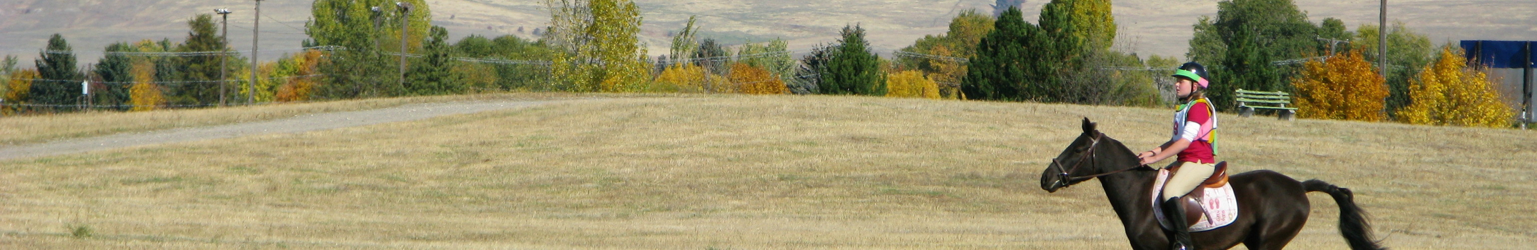 Images 3076x501 31