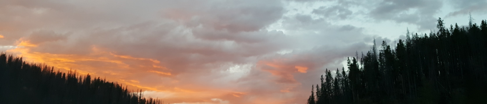 Images 1673x360 25