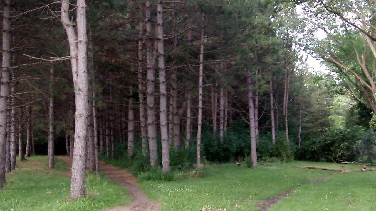 Images 1280x720 2