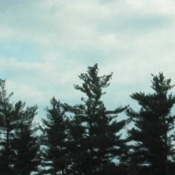 Images 3076x501 31