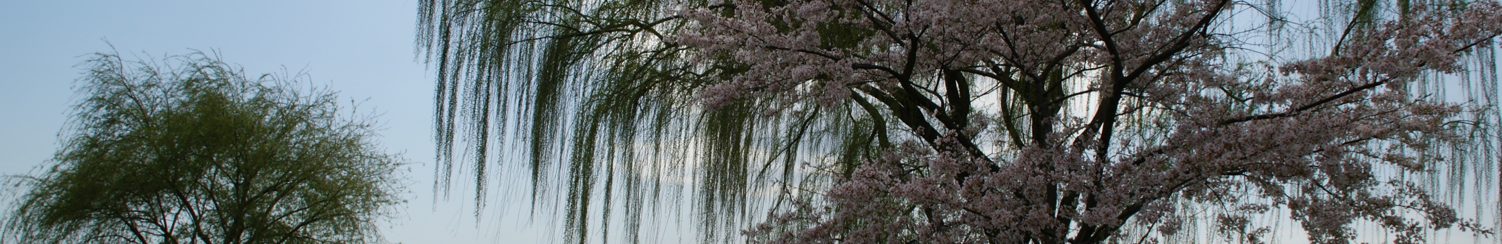 Images 3076x501 31