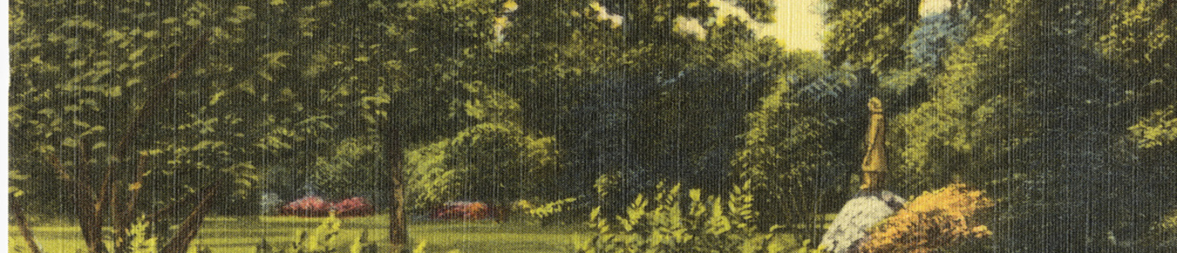Images 1673x360 25