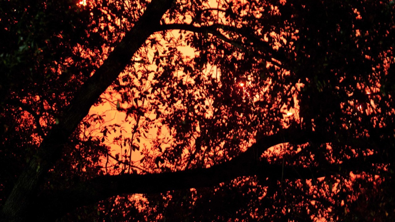 Images 1280x720 2