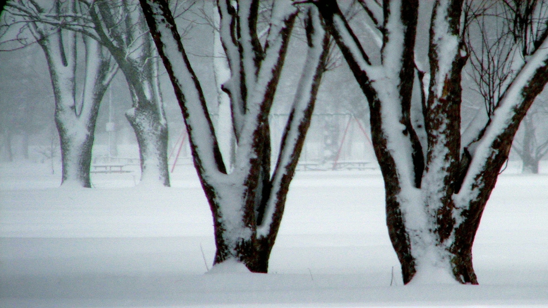 Images 1920x1080 1