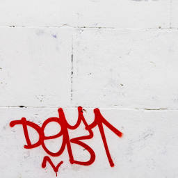 Images 1795x683 33