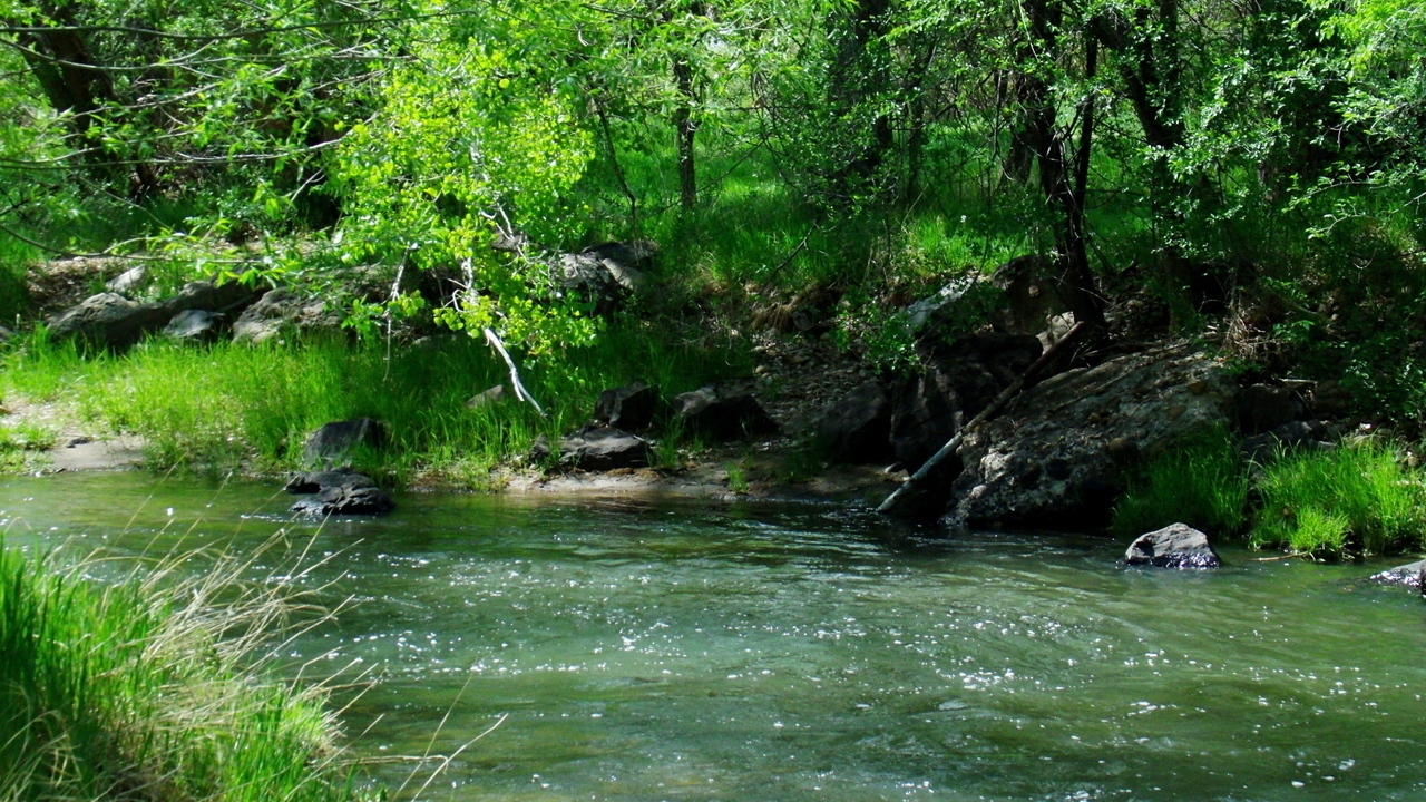 Images 1280x720 5